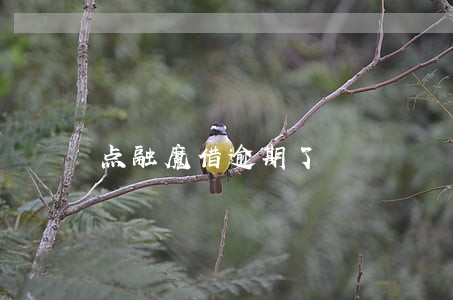 点融魔借逾期了 点融魔借逾期了