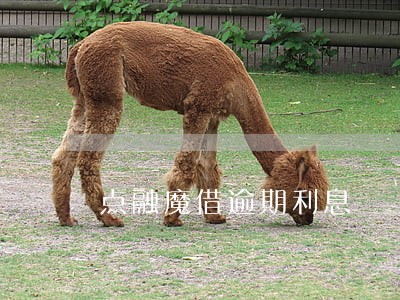 点融魔借逾期利息 点融魔借逾期利息