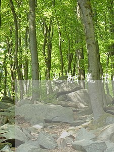 点融魔借长期逾期会怎么样啊 点融魔借长期逾期会怎么样啊
