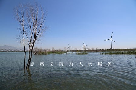 点赞法院为人民服务 点赞法院为人民服务