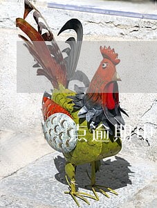 点逾期申报 点逾期申报