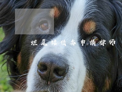烂尾楼债务申请律师 烂尾楼债务申请律师