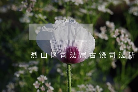 烈山区司法局古饶司法所 烈山区司法局古饶司法所