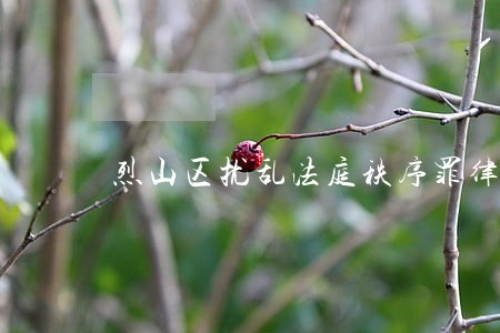 烈山区扰乱法庭秩序罪律师推荐 烈山区扰乱法庭秩序罪律师推荐