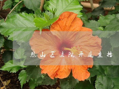 烈山区法院开庭直播