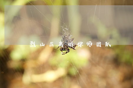 烈山区离婚律师团队 烈山区离婚律师团队