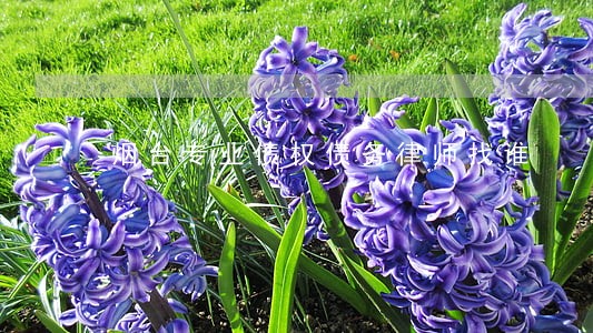 烟台专业债权债务律师找谁 烟台专业债权债务律师找谁