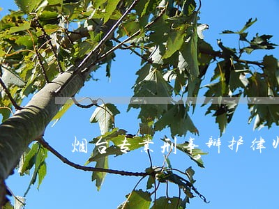 烟台专业刑事辩护律师哪里找