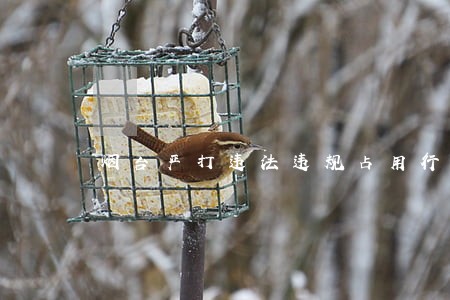 烟台严打违法违规占用行为 烟台严打违法违规占用行为