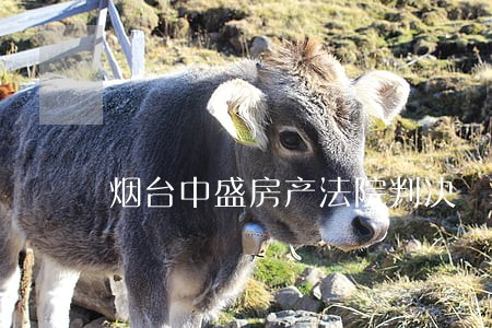 烟台中盛房产法院判决 烟台中盛房产法院判决