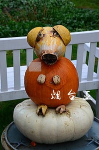 烟台亚太保险贷款逾期 烟台亚太保险贷款逾期