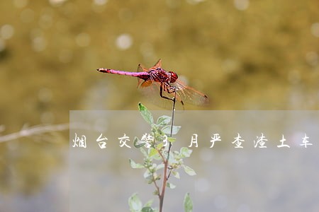 烟台交警3月严查渣土车违法
