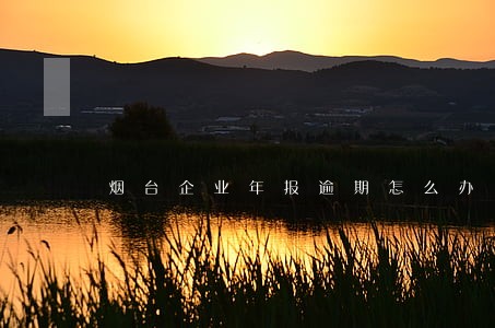 烟台企业年报逾期怎么办 烟台企业年报逾期怎么办