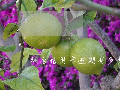 烟台信用卡逾期有多少人 烟台信用卡逾期有多少人