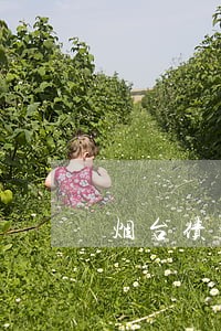 烟台债权债务律师大概多少钱 烟台债权债务律师大概多少钱
