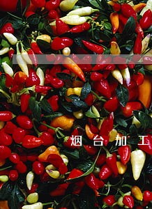 烟台加工承揽合同律师费用 烟台加工承揽合同律师费用