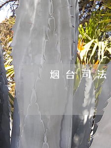 烟台司法局招聘 烟台司法局招聘