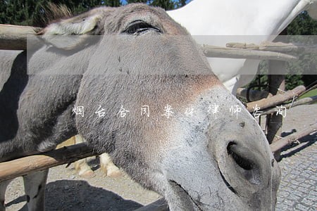 烟台合同案件律师咨询 烟台合同案件律师咨询