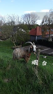 烟台周边协议离婚律师团 烟台周边协议离婚律师团