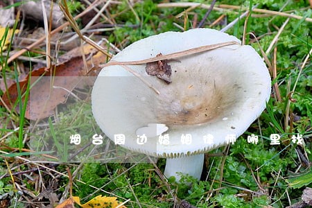 烟台周边婚姻律师哪里找 烟台周边婚姻律师哪里找