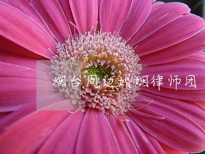 烟台周边婚姻律师团 烟台周边婚姻律师团
