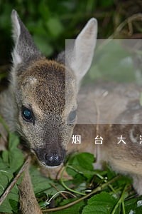 烟台大海阳社区法律咨询 烟台大海阳社区法律咨询