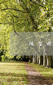 烟台妨害作证罪律师在线咨询 烟台妨害作证罪律师在线咨询