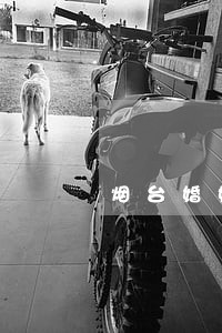 烟台婚姻律师有哪些 烟台婚姻律师有哪些