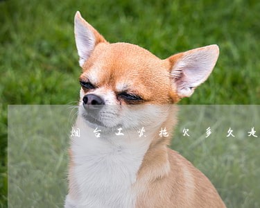 烟台工资拖欠多久是违法的 烟台工资拖欠多久是违法的