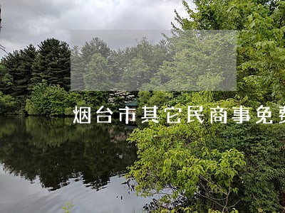 烟台市其它民商事免费法律咨询 烟台市其它民商事免费法律咨询