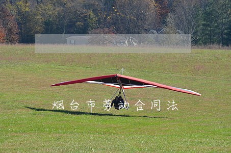 烟台市劳动合同法