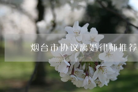 烟台市协议离婚律师推荐 烟台市协议离婚律师推荐