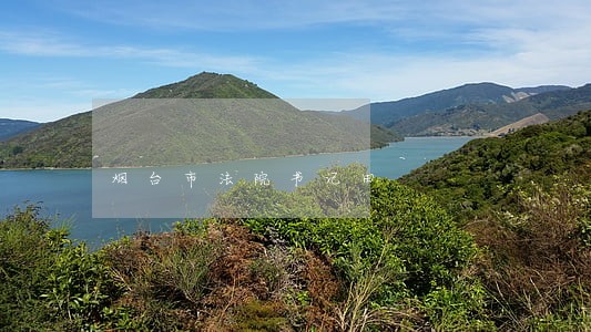 烟台市法院书记田 烟台市法院书记田