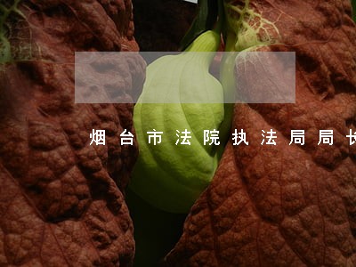 烟台市法院执法局局长 烟台市法院执法局局长