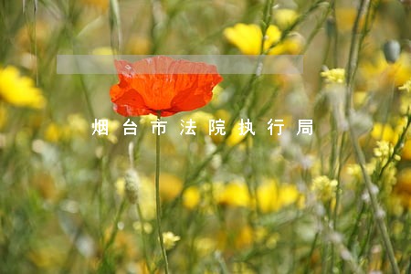 烟台市法院执行局