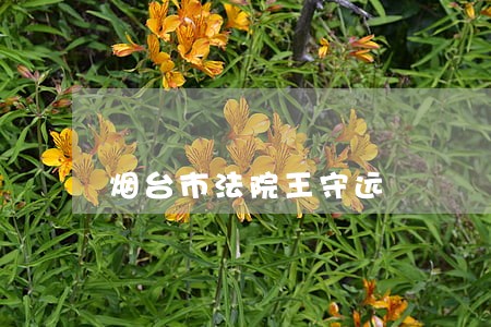 烟台市法院王守远 烟台市法院王守远