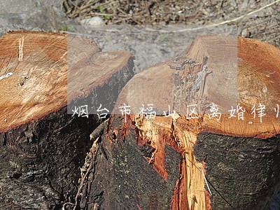 烟台市福山区离婚律师