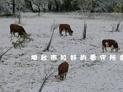 烟台市较好的看守所会见律师费 烟台市较好的看守所会见律师费