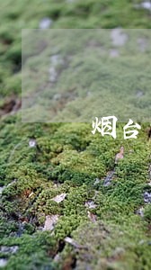 烟台开发区律师咨询 烟台开发区律师咨询