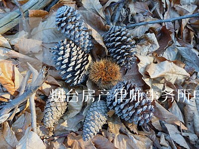 烟台房产律师事务所电话 烟台房产律师事务所电话