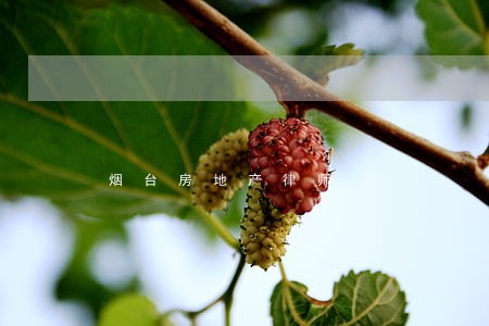 烟台房地产律师 烟台房地产律师