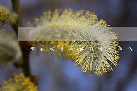 烟台找债务合同律师微信咨询 烟台找债务合同律师微信咨询
