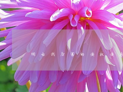 烟台找厉害的债权债务律师 烟台找厉害的债权债务律师