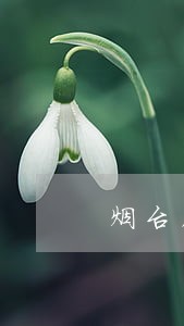 烟台本地婚姻律师团队 烟台本地婚姻律师团队