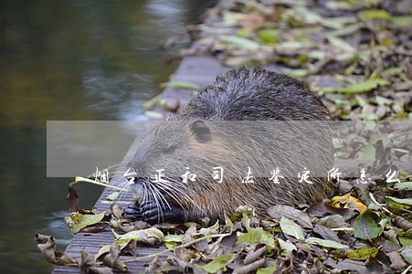 烟台正和司法鉴定所怎么样 烟台正和司法鉴定所怎么样
