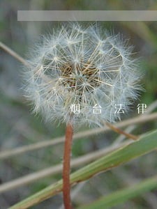 烟台法律援助中心地址 烟台法律援助中心地址