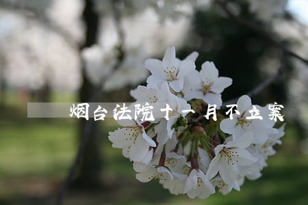 烟台法院十一月不立案 烟台法院十一月不立案
