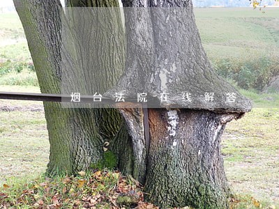 烟台法院在线解答 烟台法院在线解答