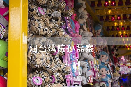 烟台法院孙磊案