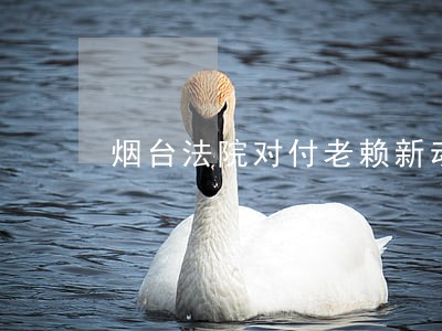 烟台法院对付老赖新动作 烟台法院对付老赖新动作